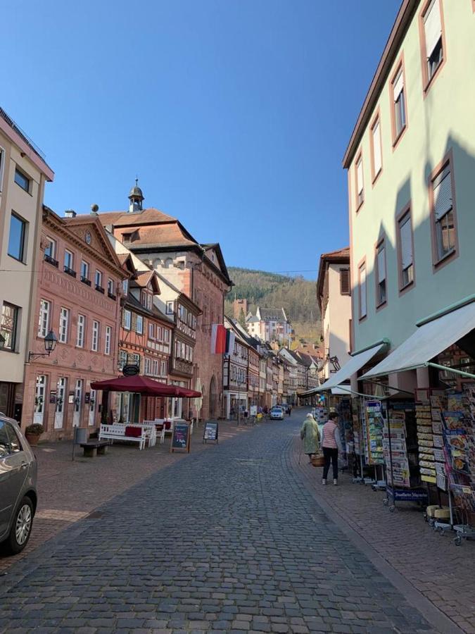 Ferienwohnung Am Brunnen Grossheubach Экстерьер фото