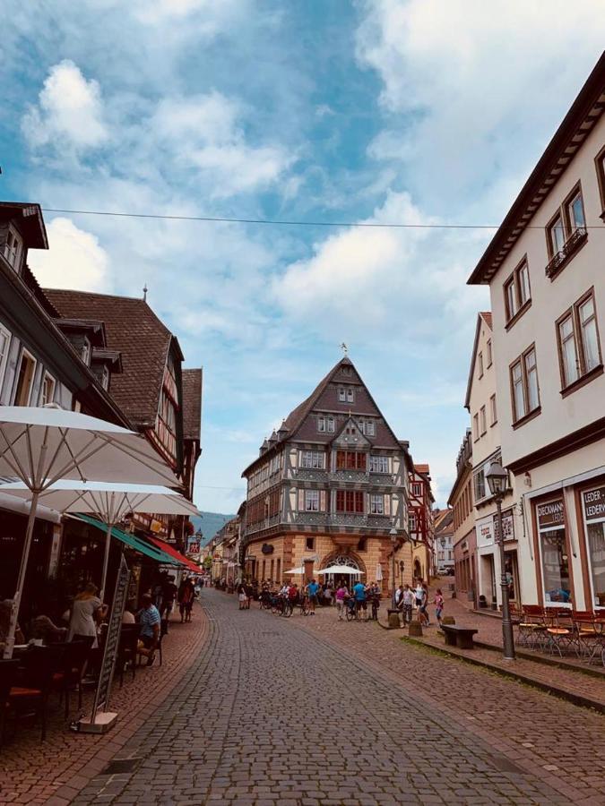 Ferienwohnung Am Brunnen Grossheubach Экстерьер фото